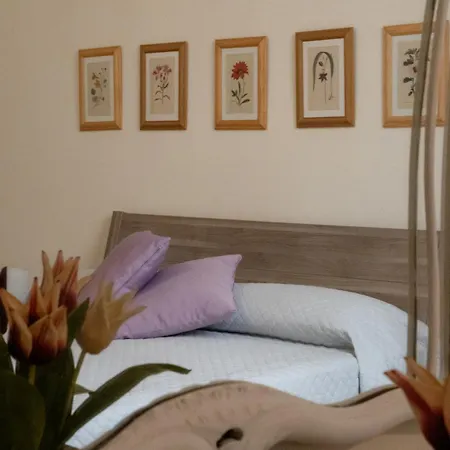 Via Veneto 5 * Alassio